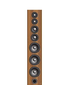 A1